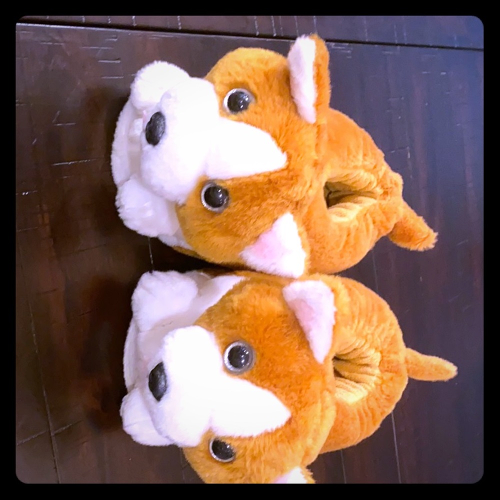 Corgi slippers
